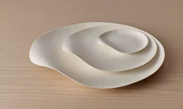 一次性餐具竟然美得像藝術品?。?）.png